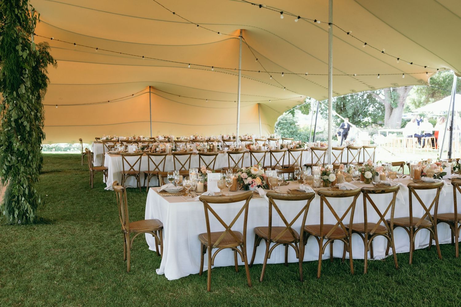 White tent wedding reception setup with wooden cross-back chairs and elegant table arrangements under string lights.