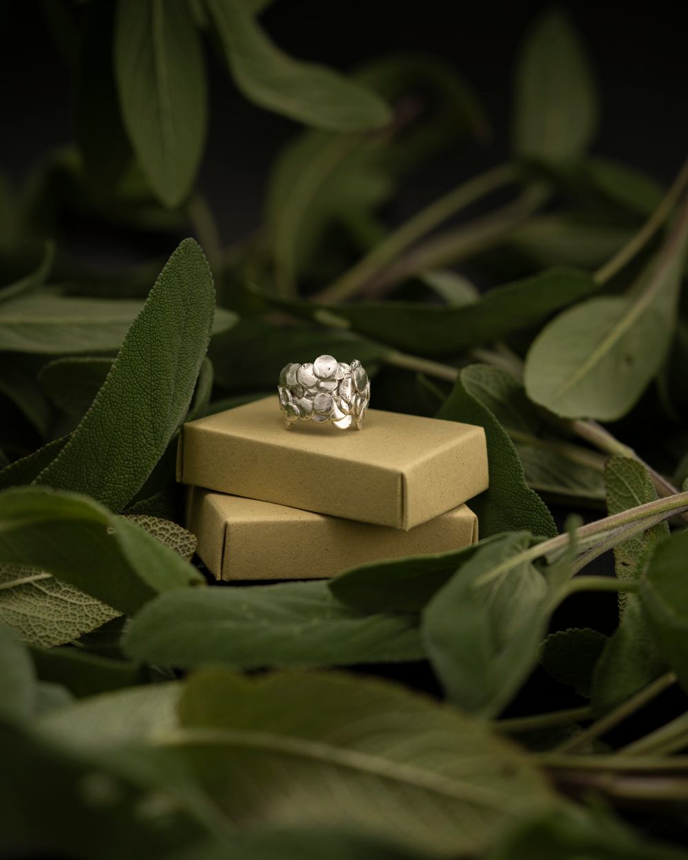 A gold ring in a box nestled among olive leaves; destination wedding and luxury gift photography in Florence, Italy.