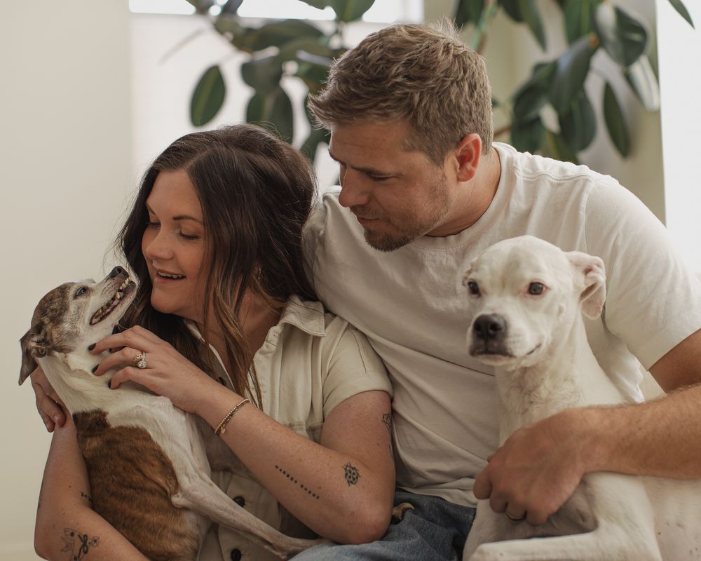A series of tender moments between a couple and their white dog showing affection and kisses.