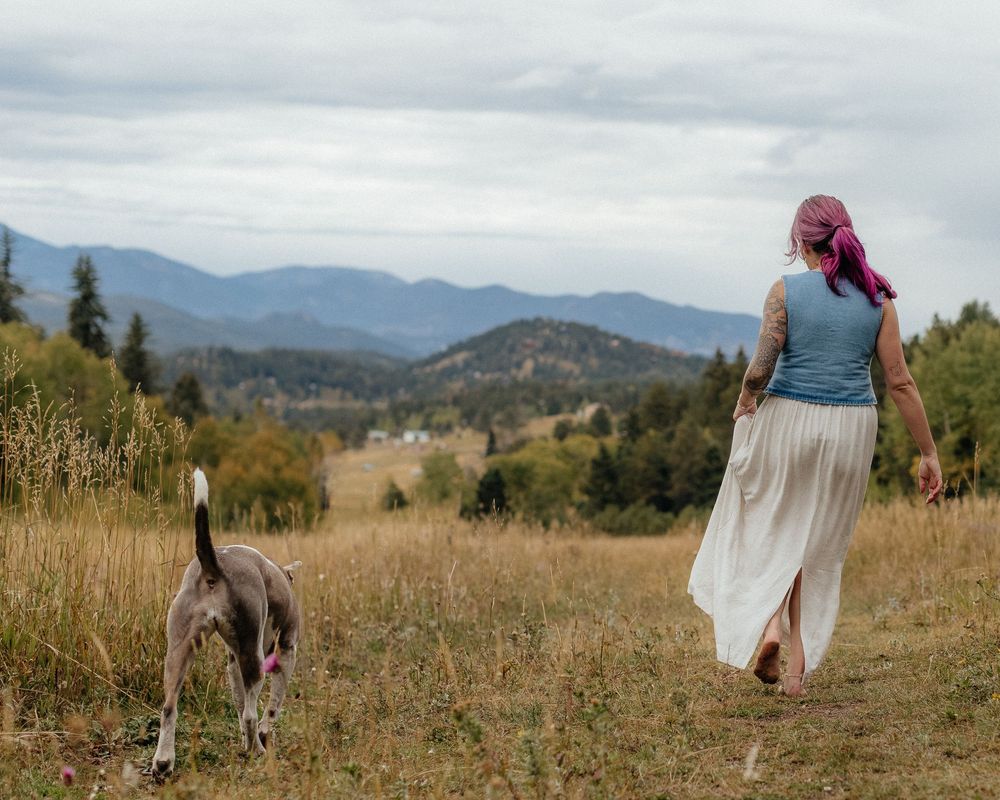 A series of panoramic shots showing people walking through a golden mountain meadow on a sunny afternoon.