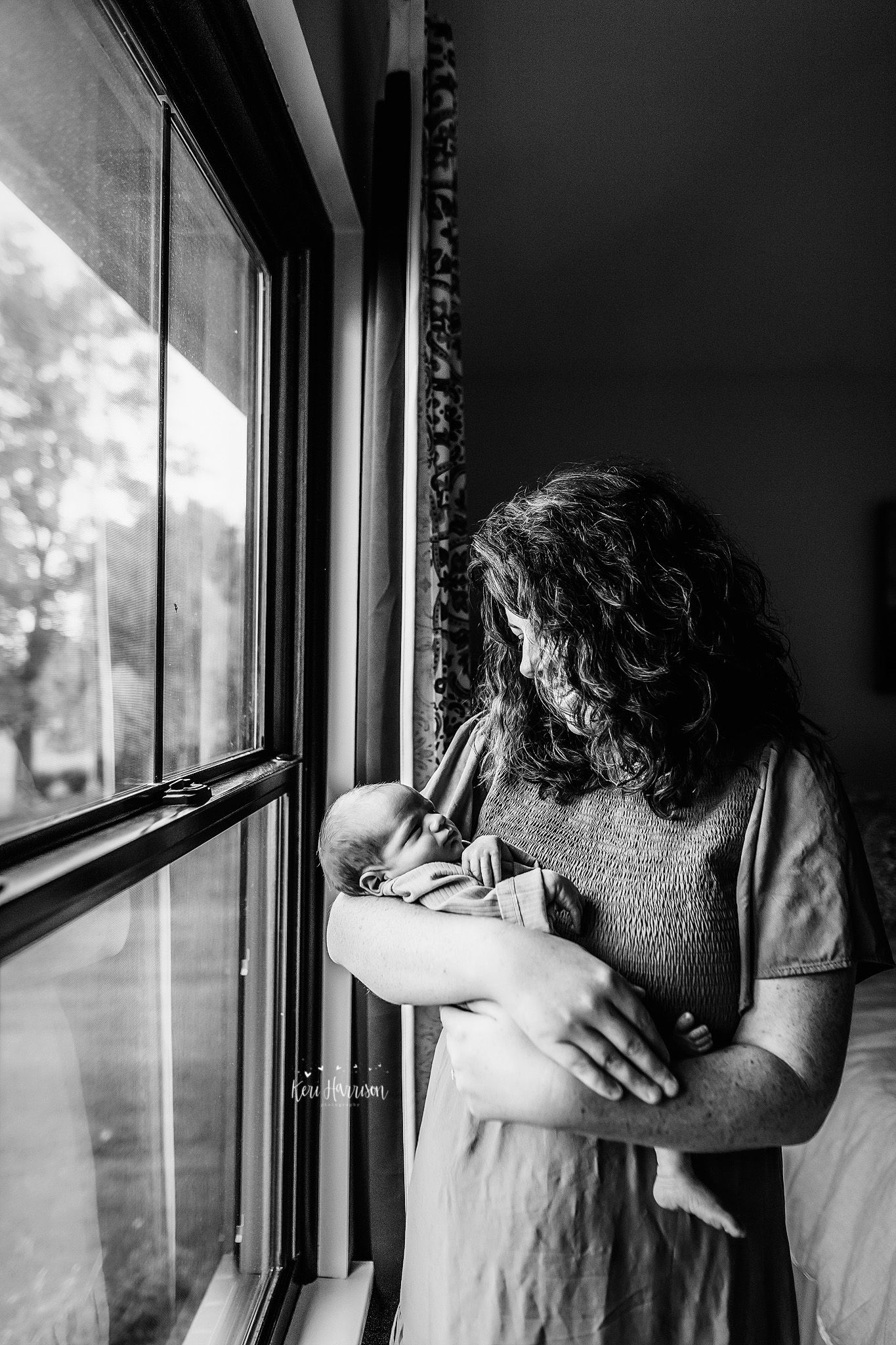 South Lyon Michigan Family Photographer