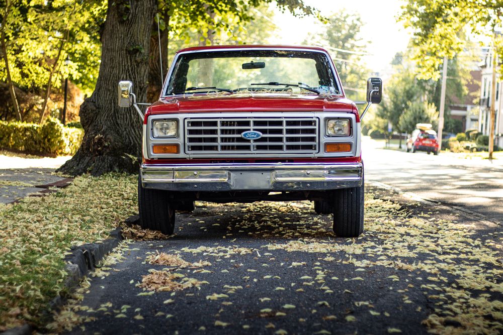 Vintage Ford pickup trucks parked along a tree-lined street with fall foliage.