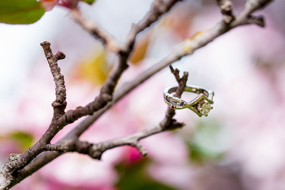 Close-up of an engagement ring perched on a tree branch with soft pink bokeh background.