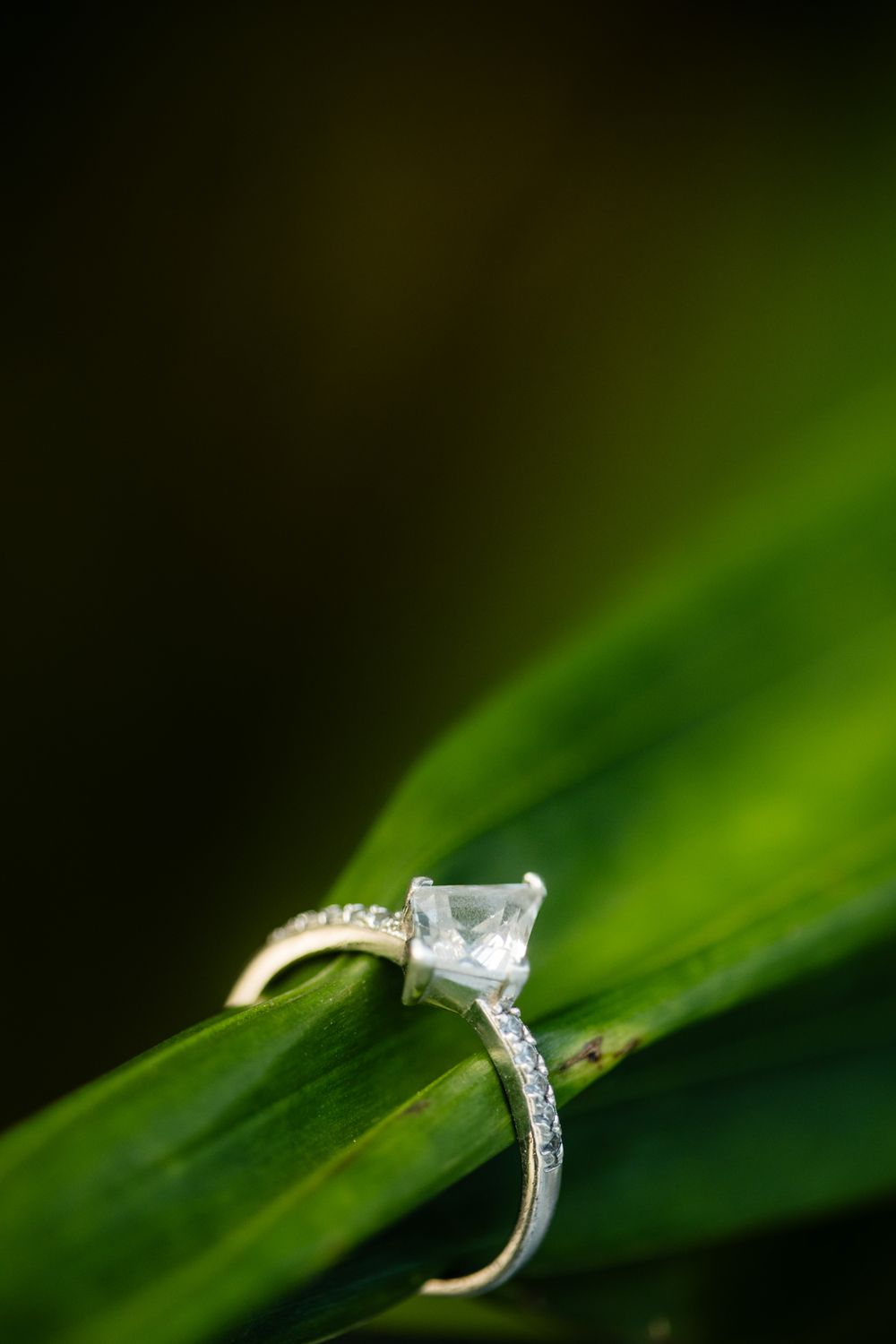 Diamond engagement ring resting on a green leaf with dark background.