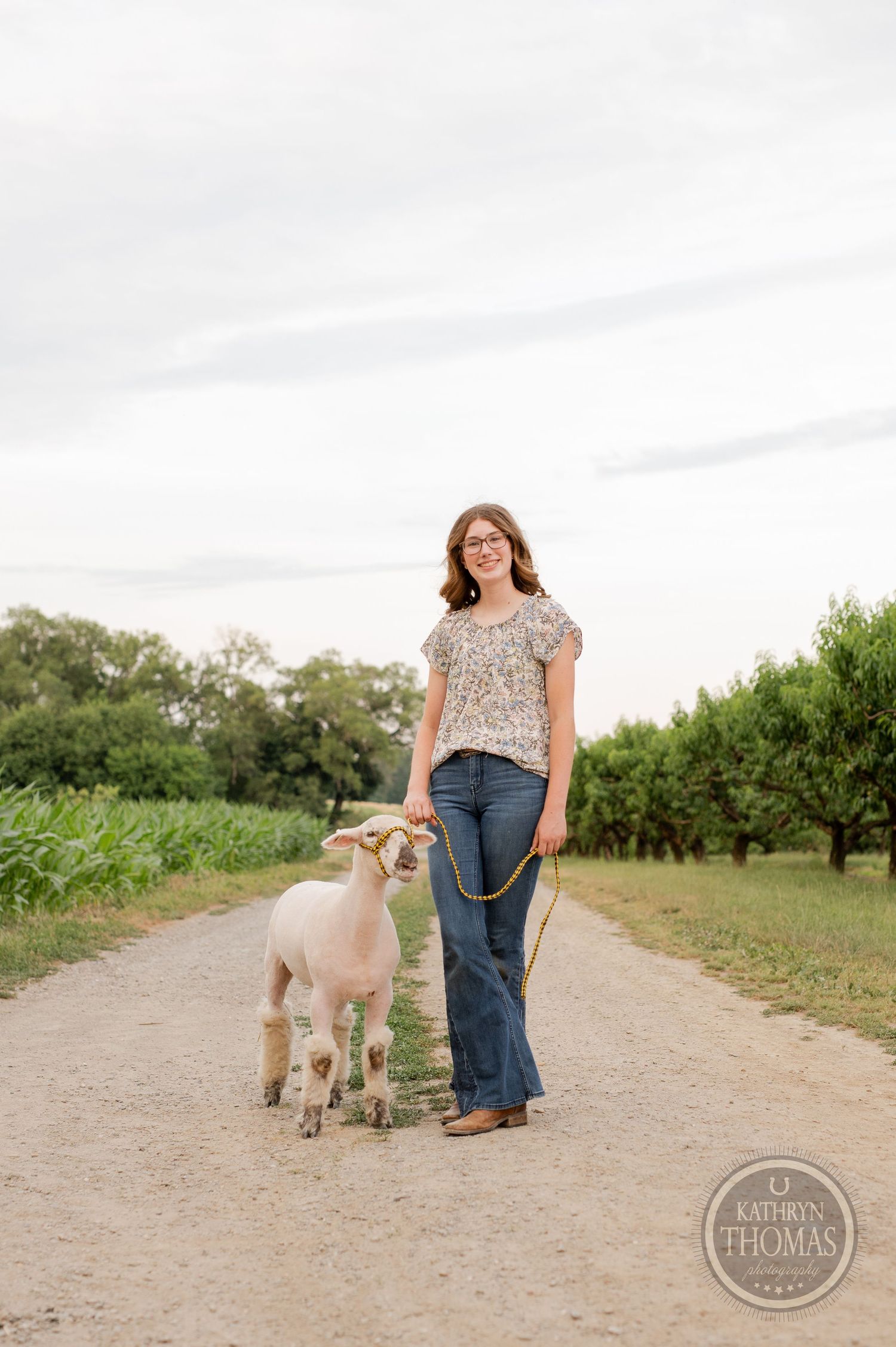 A young sheep follows along a dirt path through an orchard on an overcast day.