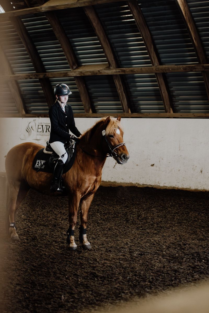 An equestrian rider in competition attire sits atop a chestnut horse inside an indoor riding arena.