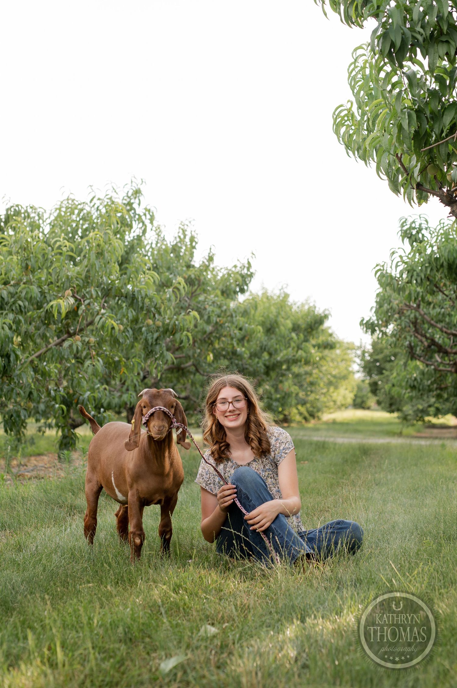 Person and brown goat sitting together in lush orchard setting.