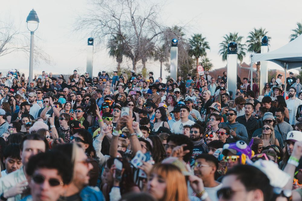 Large crowd of festival attendees dancing and enjoying outdoor music event near palm trees and buildings.