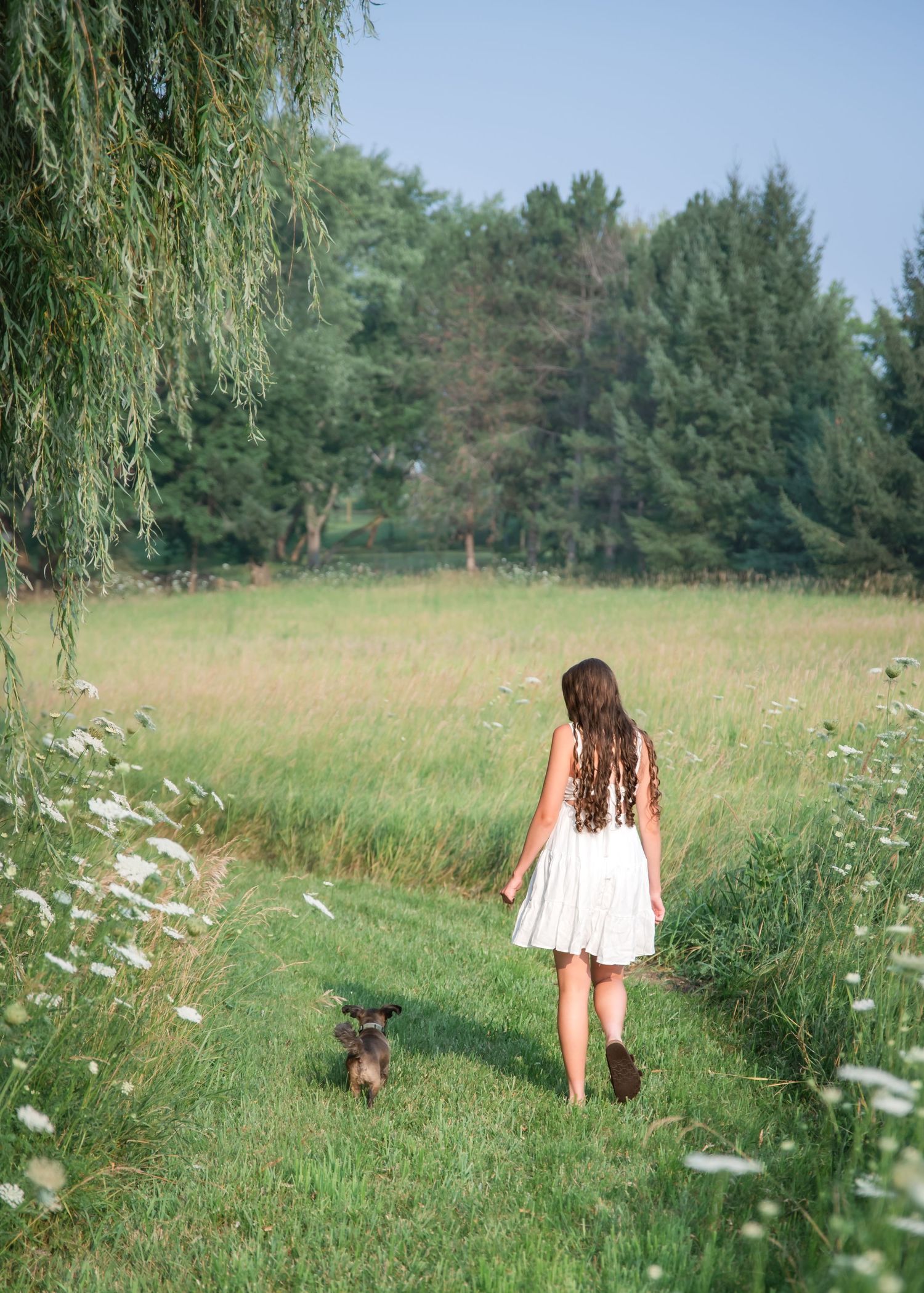 A person in a white dress walks through a summer meadow with dogs among wildflowers and willow trees.