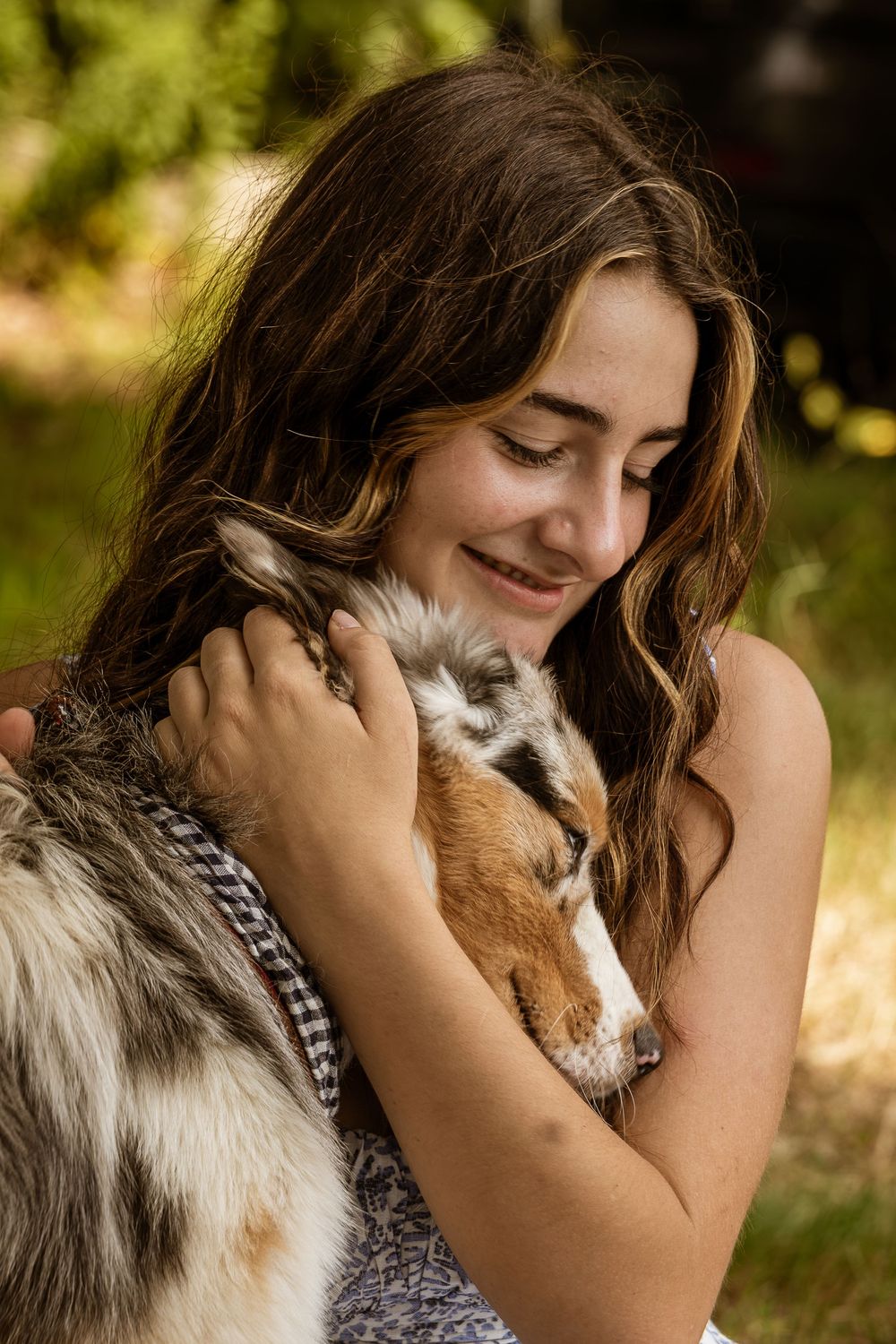 A person embraces and cuddles with a fluffy Shetland Sheepdog outdoors in warm sunlight.