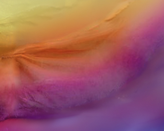 A sunset coloured sample of chiffon scarf fabric can be worn for maternity portraits.