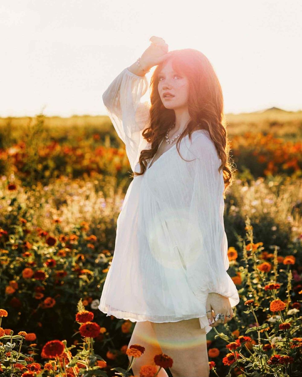 A senior photo in Petoskey Michigan of dreamy sunset scene in a flower field with golden light streaming through wildflowers and tall grass.