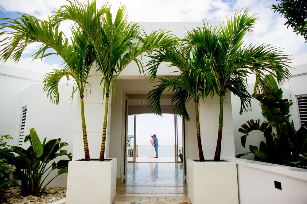 Modern white architectural entrance with tall palm trees creating symmetrical tropical pathway.