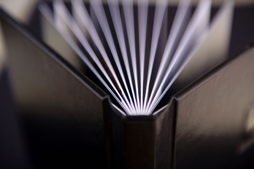Dramatic lighting creates beams of light and shadow through window blinds on a dark wooden surface.