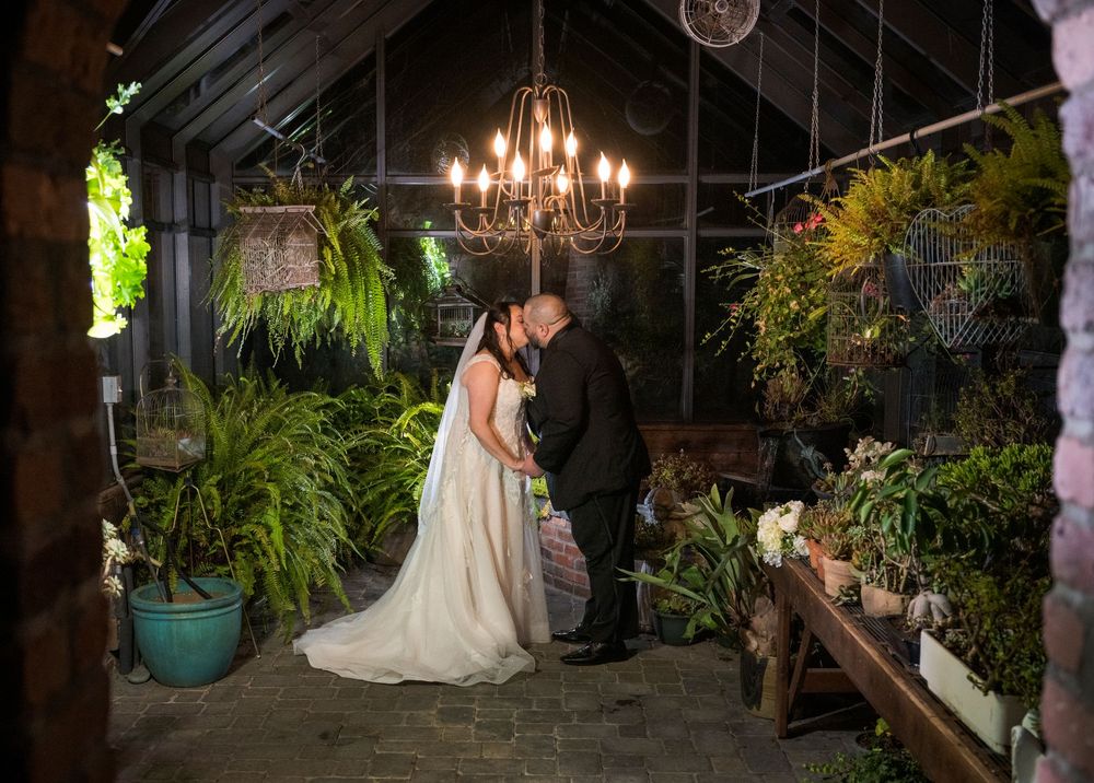 A romantic wedding couple shares a kiss in a greenhouse filled with lush plants and illuminated by an elegant chandelier.