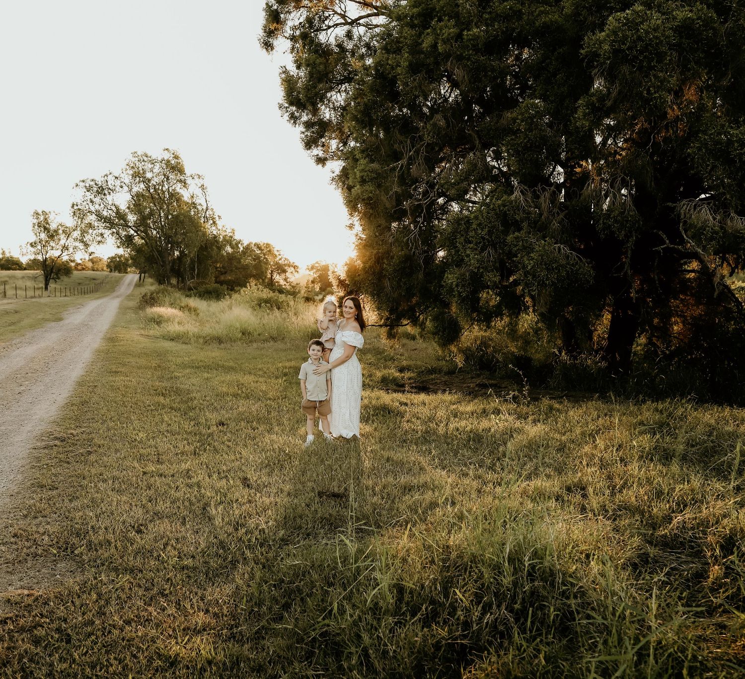 A grassy hilltop with scattered trees during golden hour.