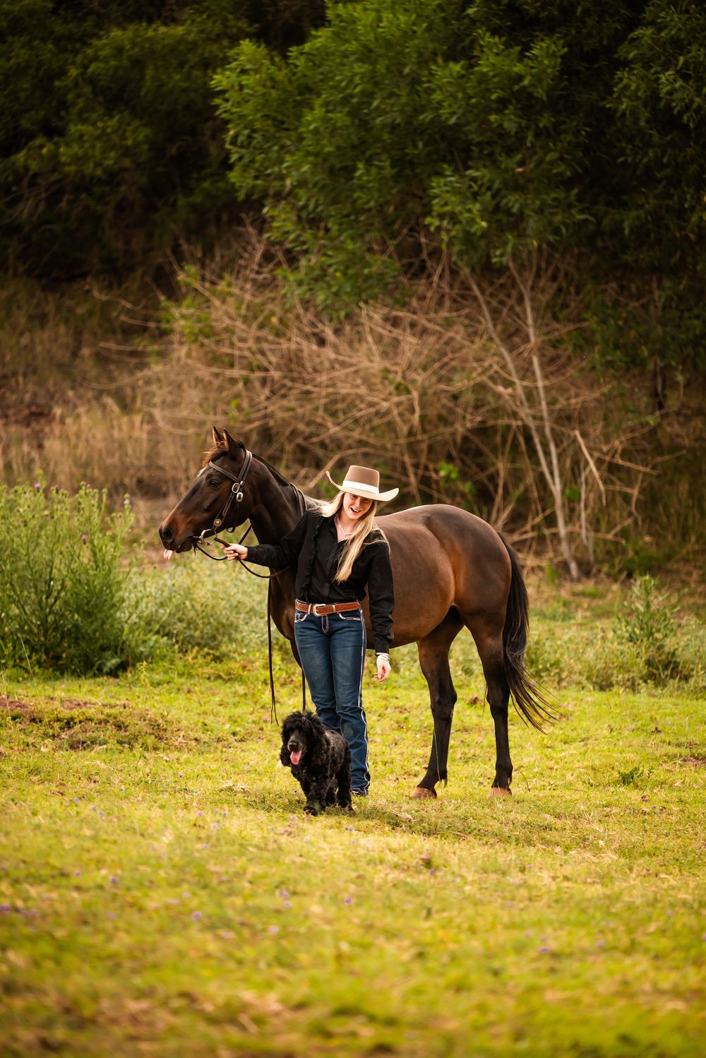 Person in cowboy hat and jeans works with a brown horse on lush grassy pasture in natural outdoor setting.