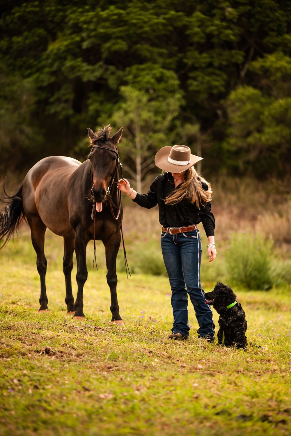 A black dog sits faithfully beside its owner while a majestic dark horse stands in the grassy meadow background.