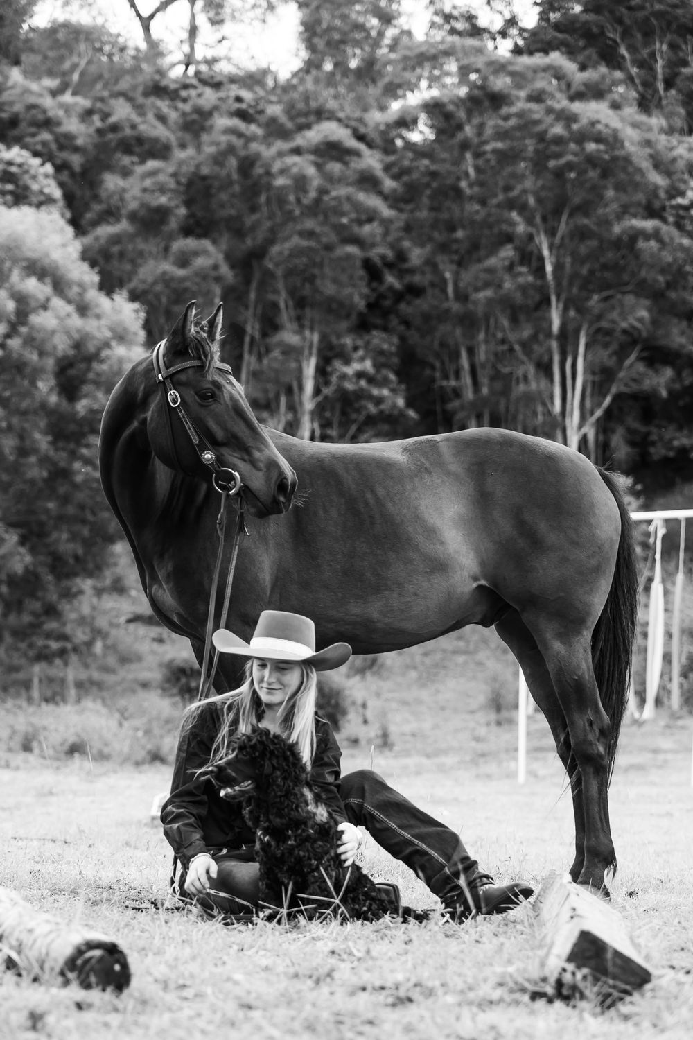 A black horse lies peacefully in a grassy field with trees in the background while being photographed.