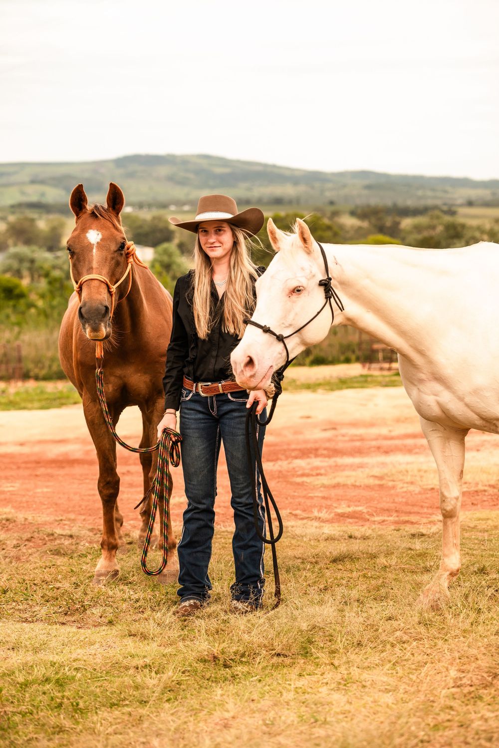 Two horses standing with their handlers in a grassy field at sunset with rolling hills in the background.