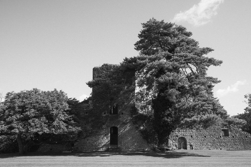 Panoramic landscape view of a historic building surrounded by pine trees.