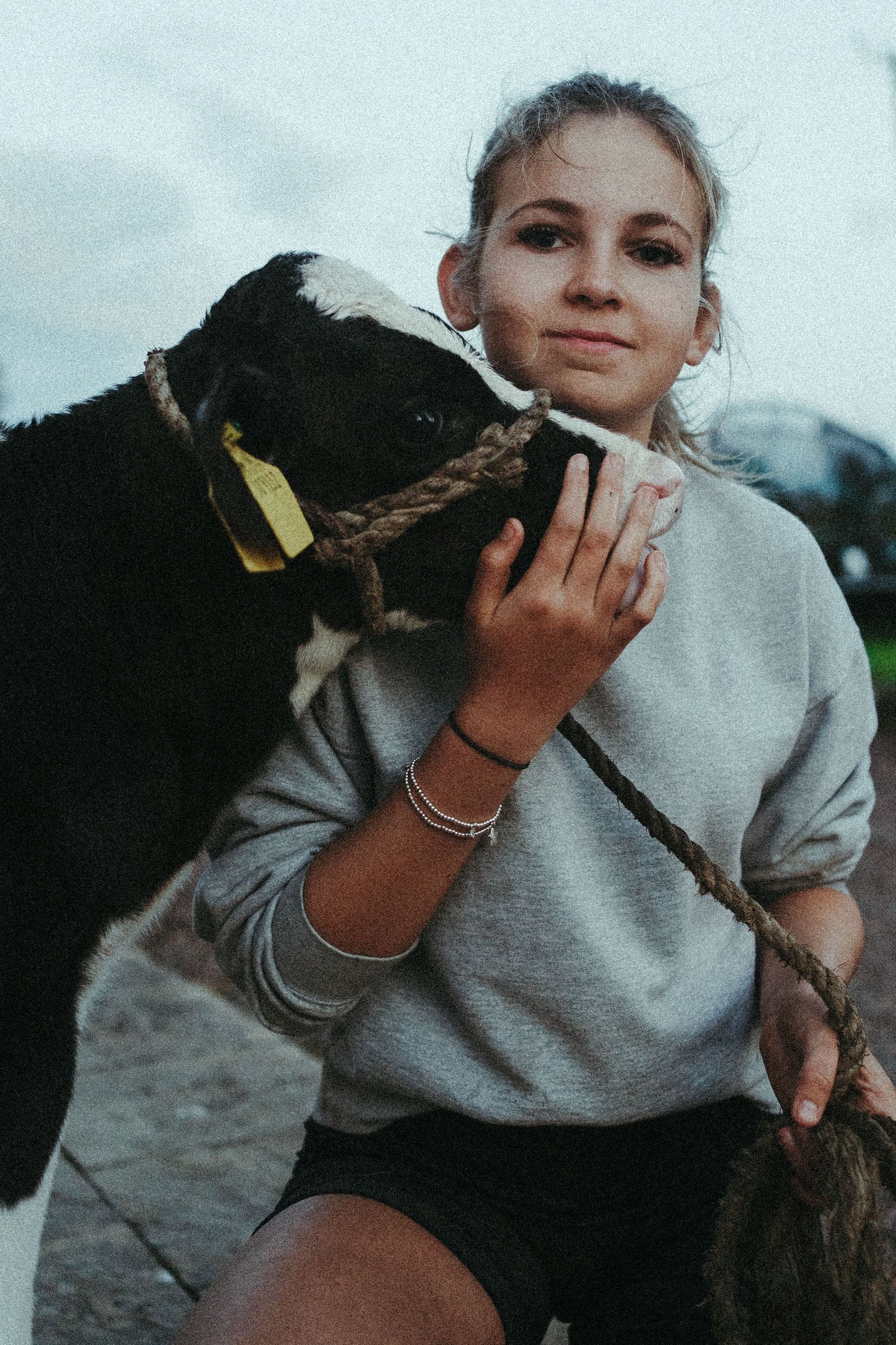 Child in grey sweatshirt cuddling and interacting with black calf in candid photo sequence.