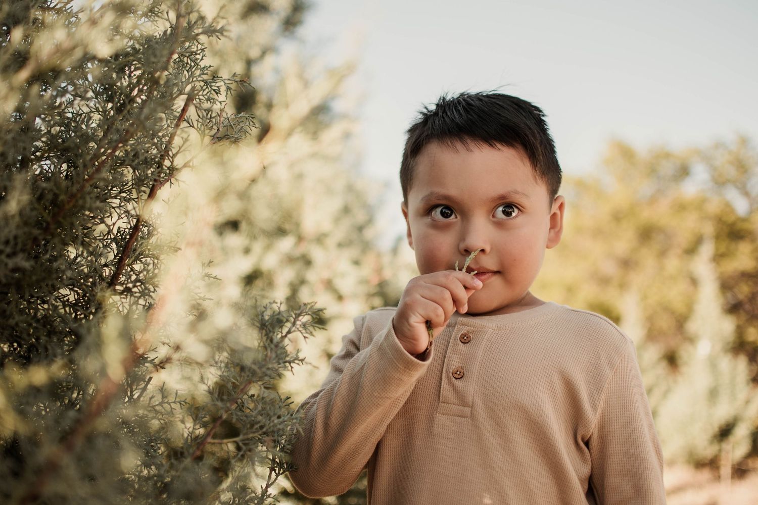 Close up portrait of a young child in a beige henley shirt standing outdoors with autumn foliage in the background.