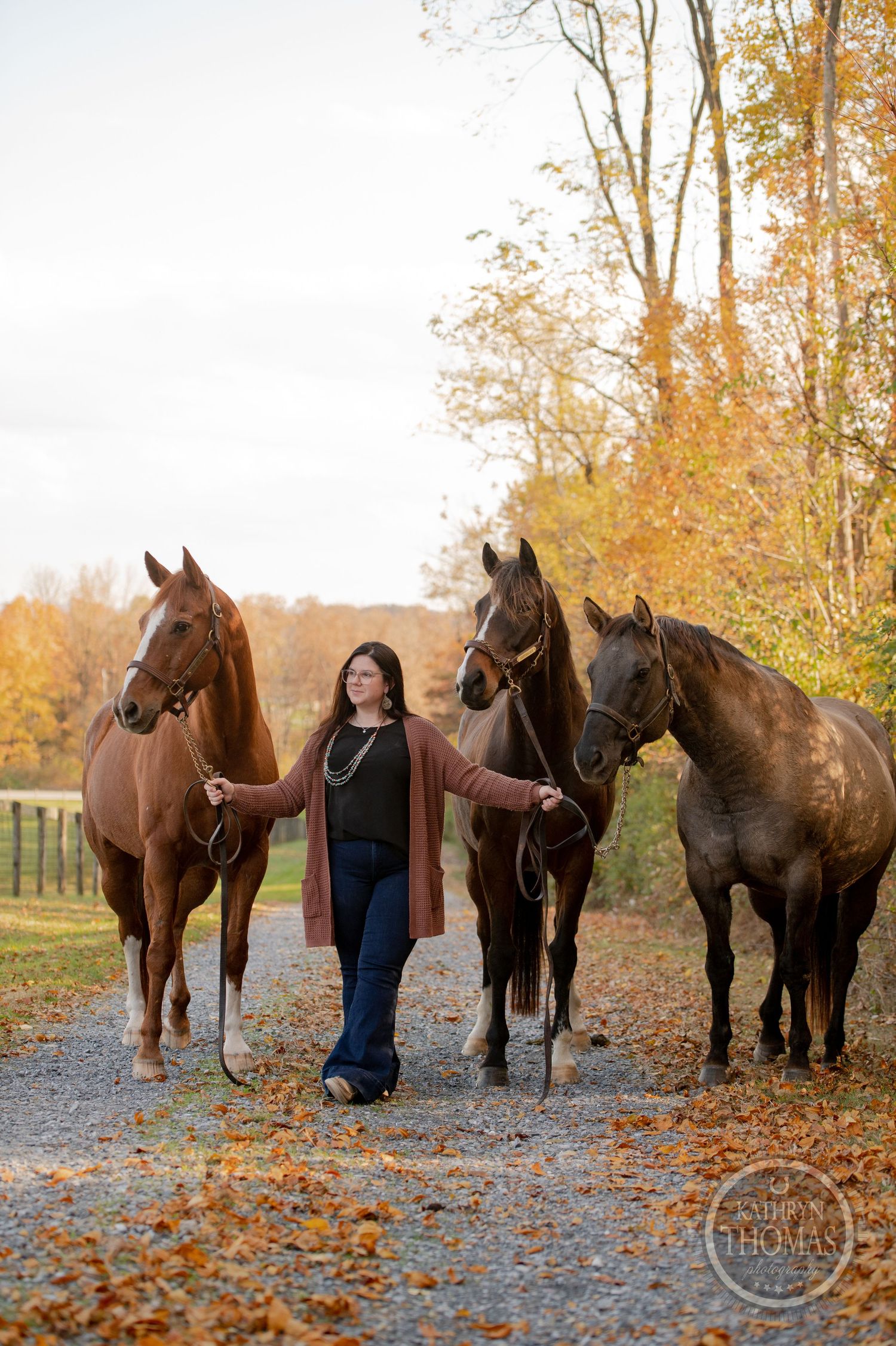 Three elegant horses with their handler on a leaf-covered autumn path.