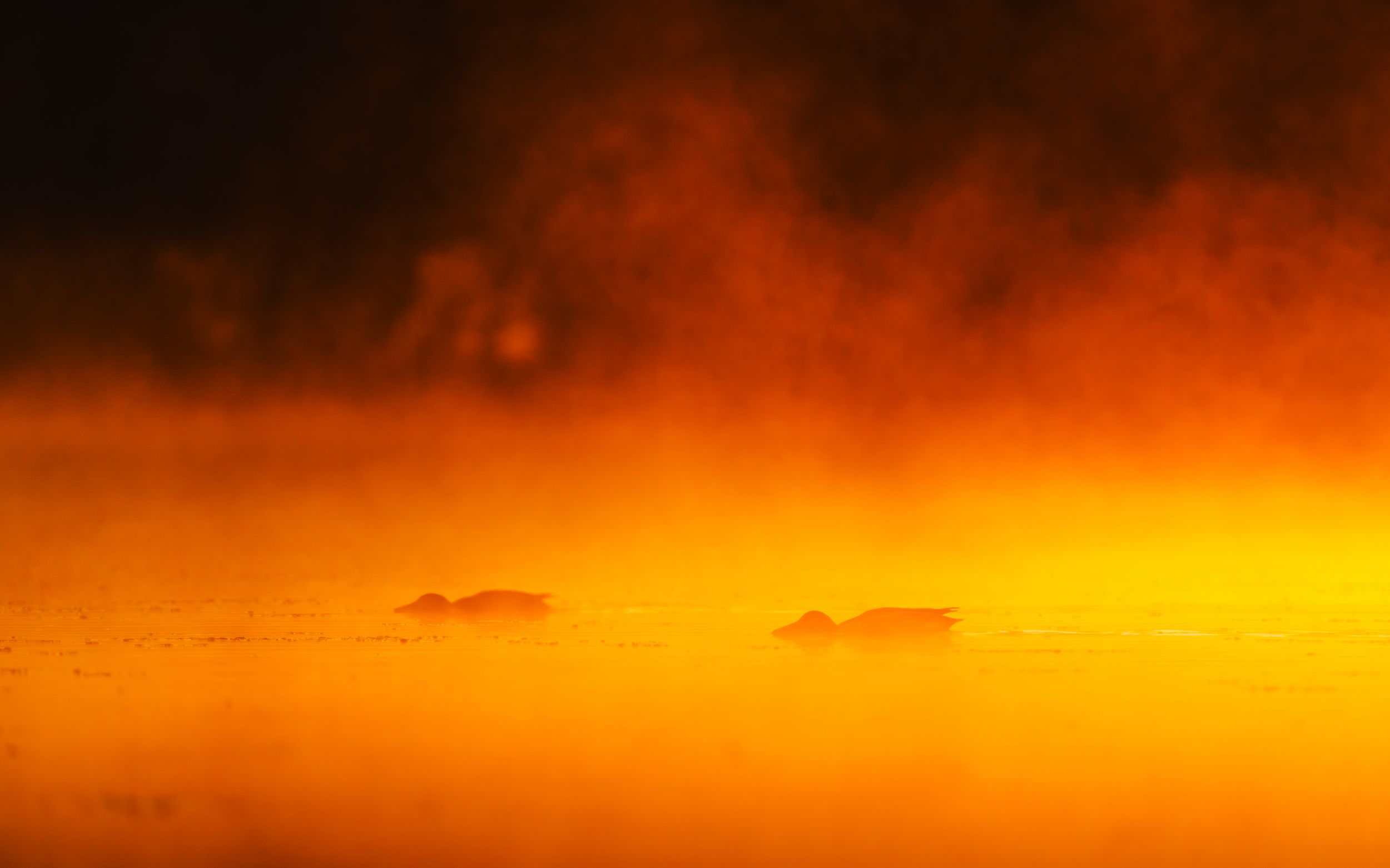 A dramatic orange and gold sunset sky with silhouetted clouds creates a fiery atmosphere over the horizon.