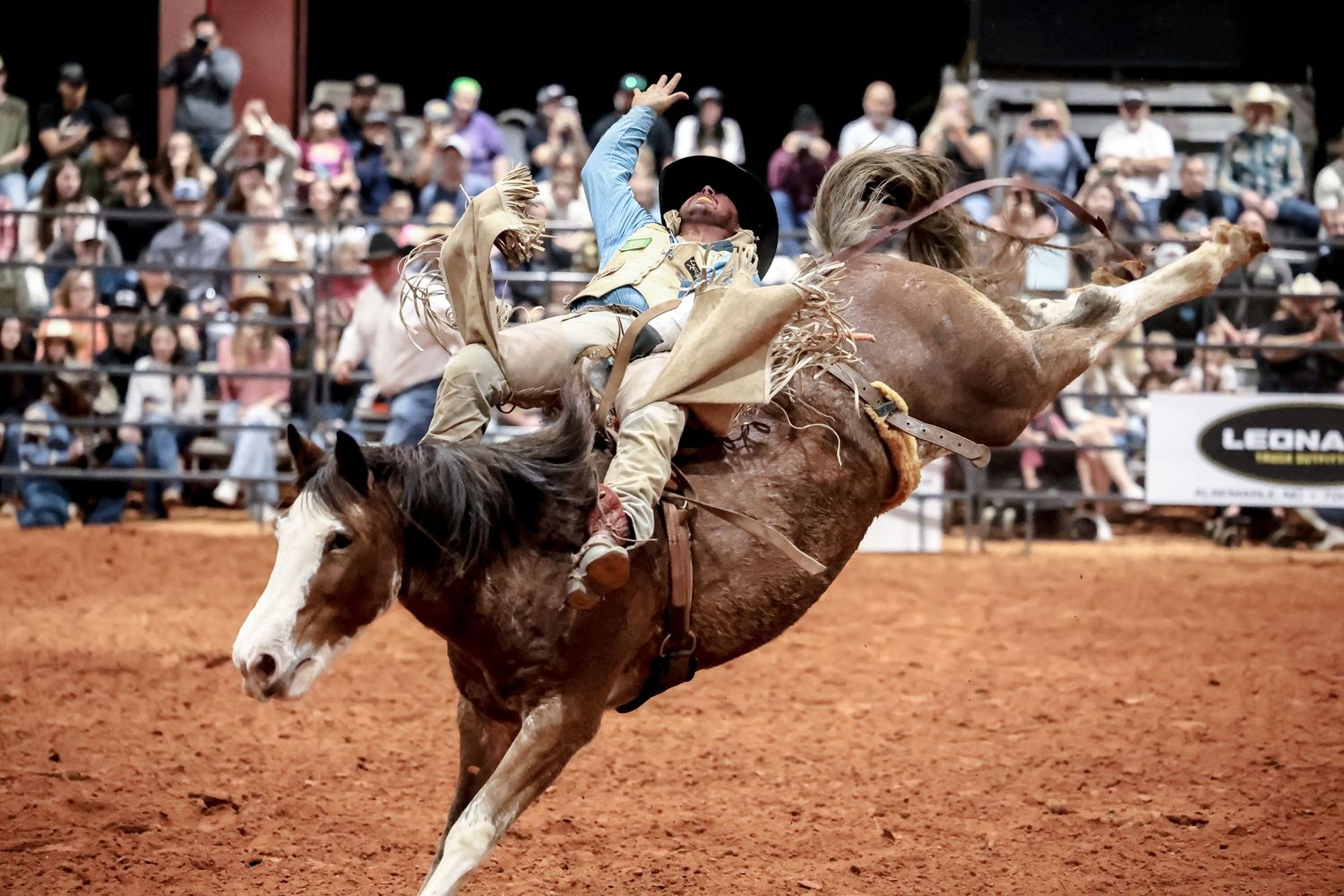 Behind the chutes getting ready for his retirement ride. Bronc Rider