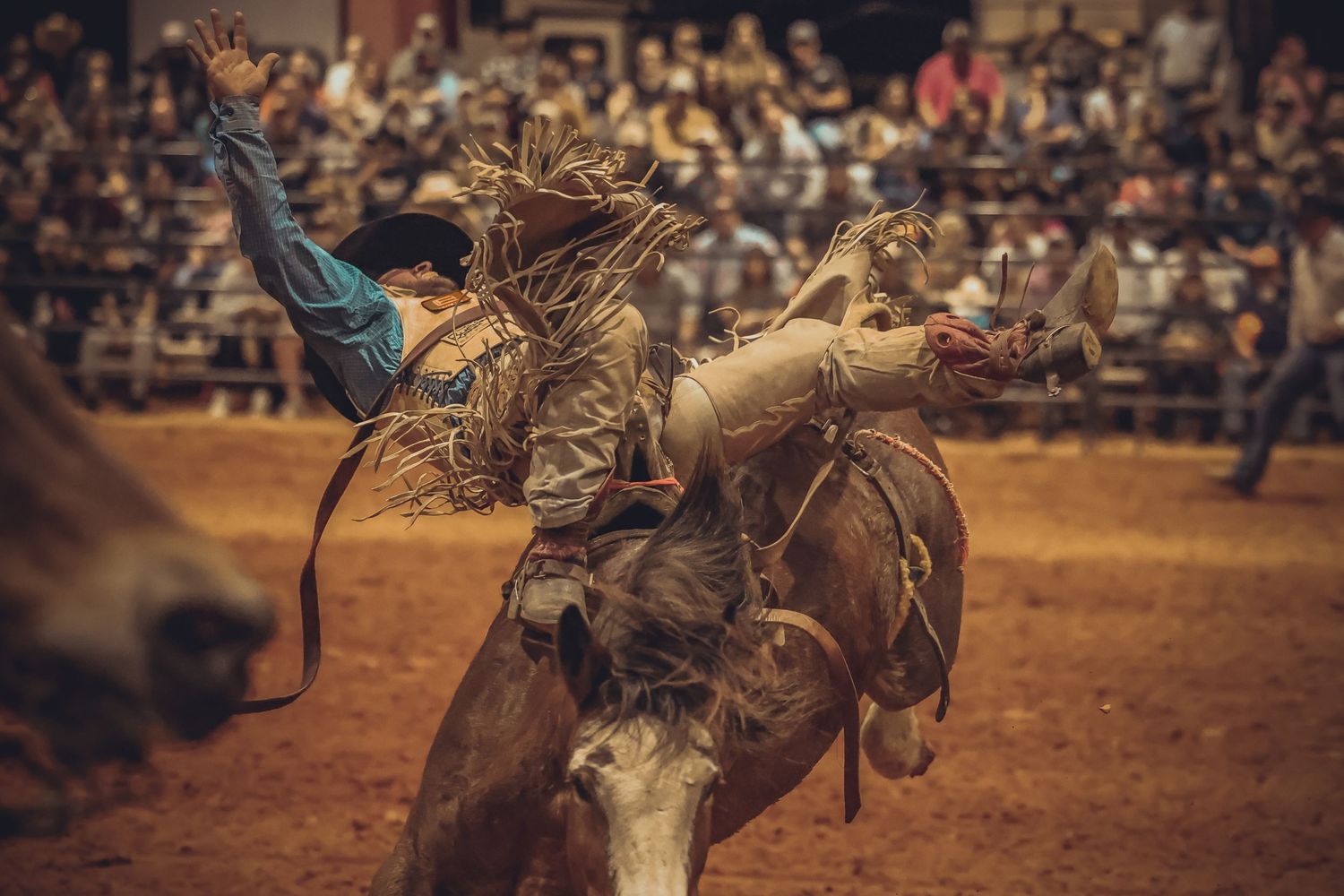 Behind the chutes getting ready for his retirement ride. Bronc Rider