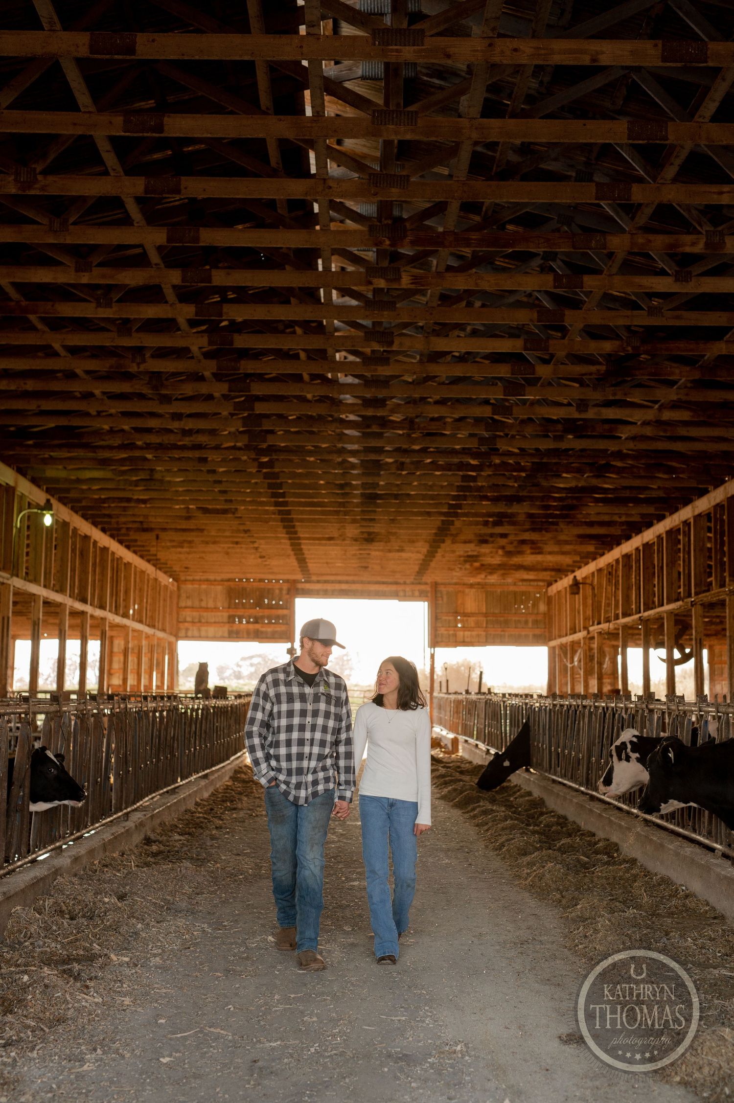 A couple walks hand in hand down a sunlit barn aisle with cattle stalls on both sides.