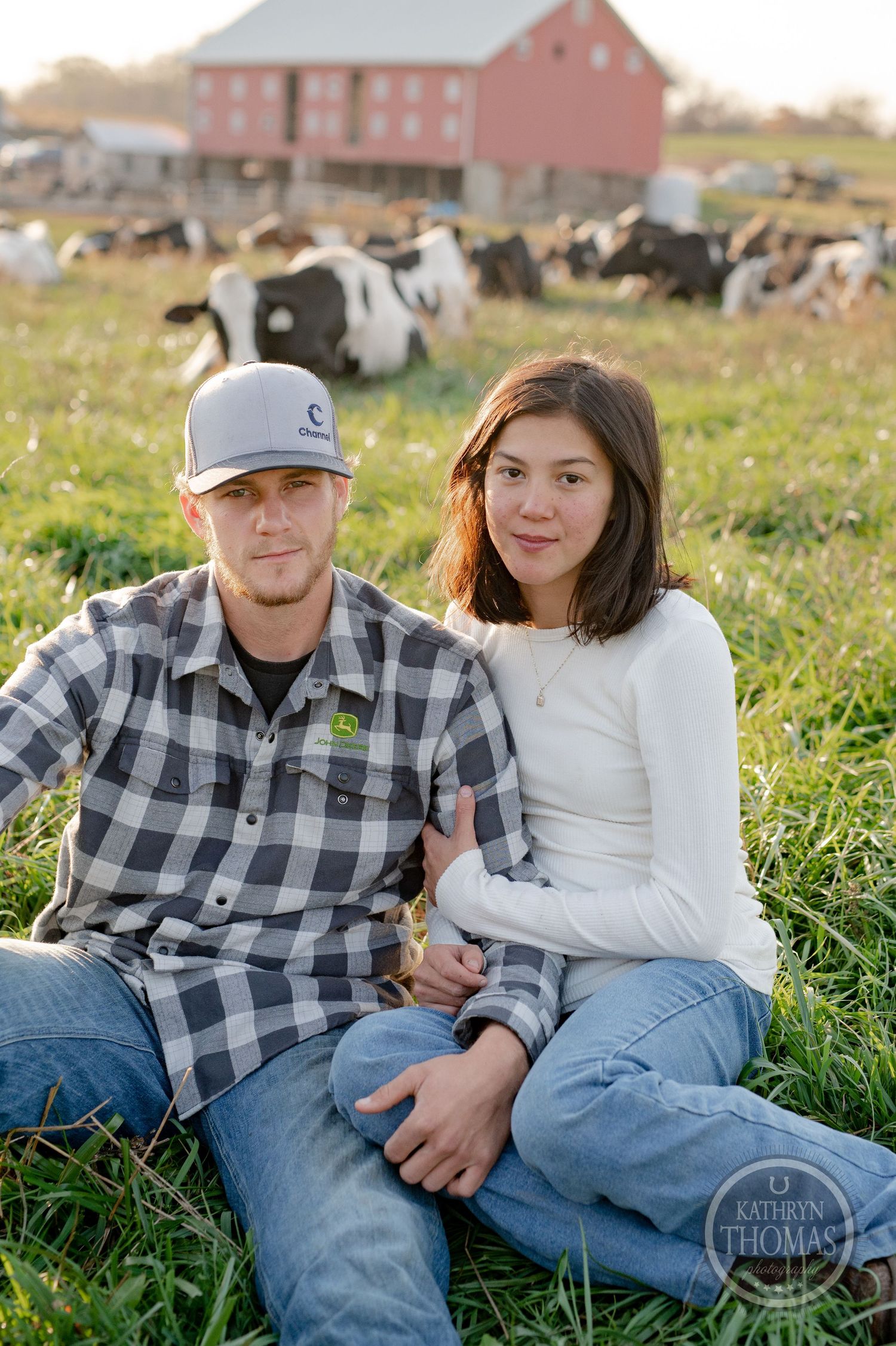 A countryside engagement photo featuring a couple sitting in front of a red barn with grazing cows.