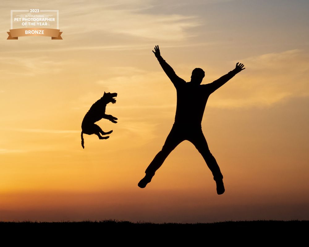 Silhouette of dog and person jumping together against golden sunset sky.