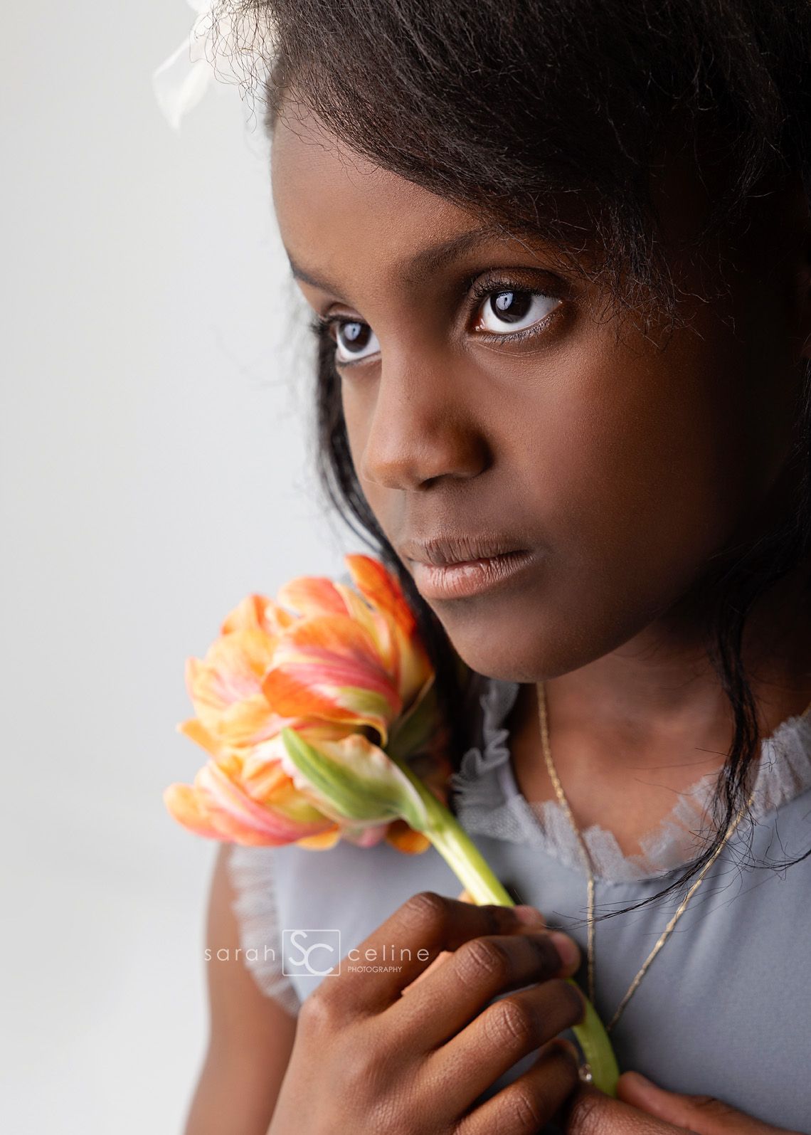 Portrait composition featuring a beautiful orange tulip held against a soft gray background.