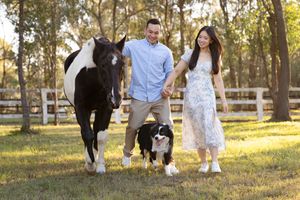 couple and their border collie walking towards the camera together with a horse during a photoshoot in sydney
