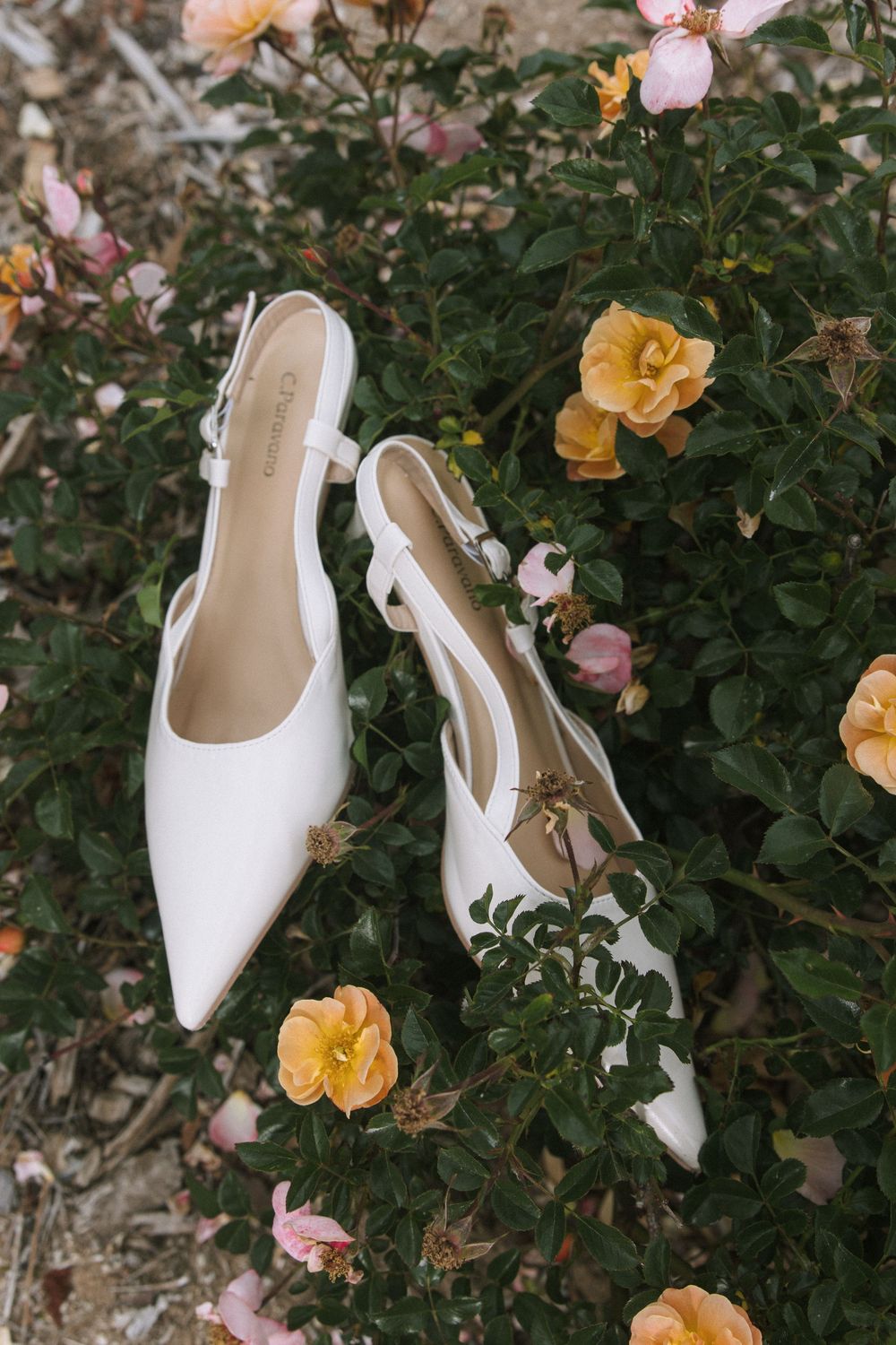 Elegant white pointed-toe slingback shoes placed among blooming pink and yellow rose bushes in a garden setting.