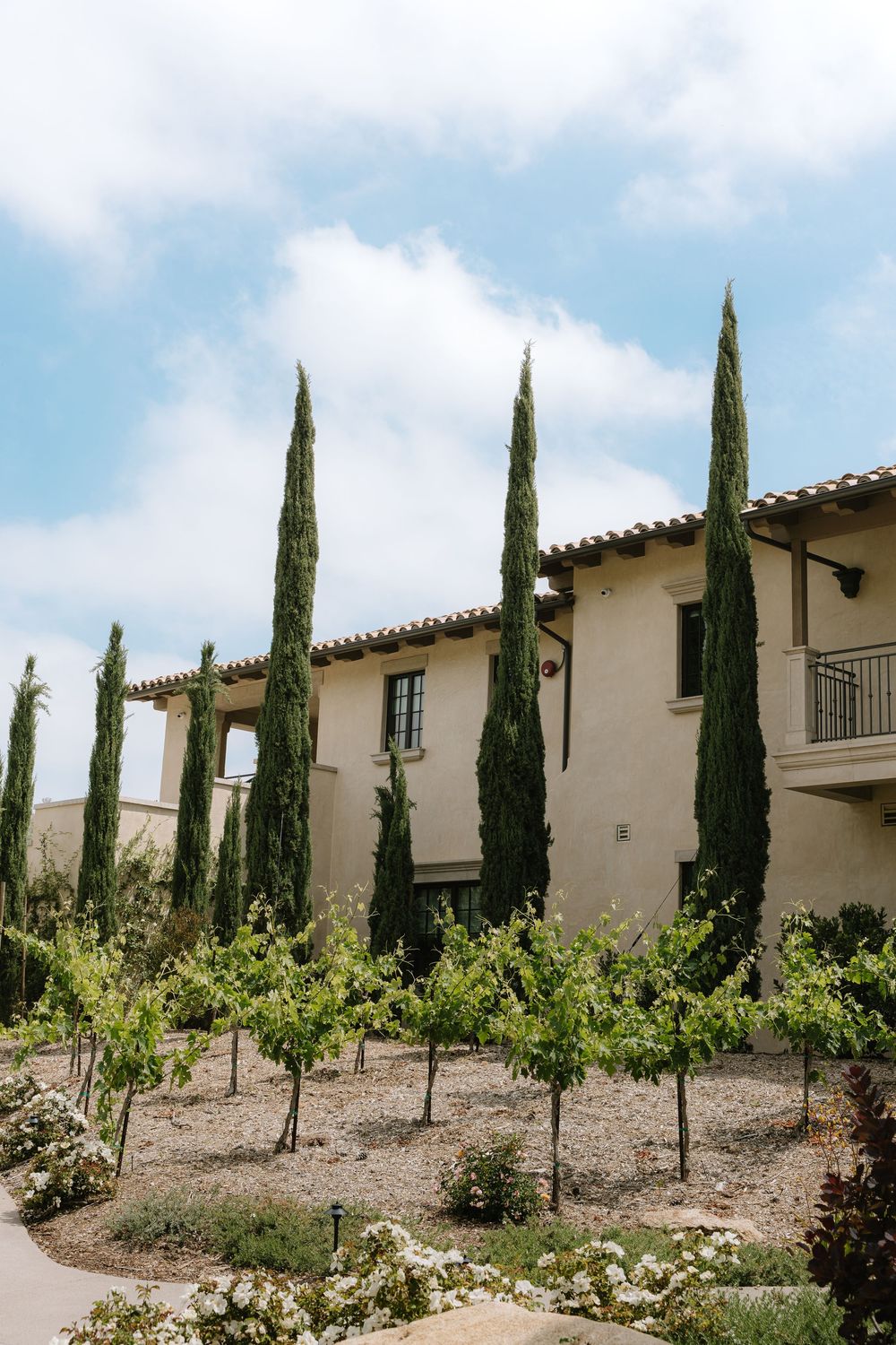 Elegant Mediterranean villa with tall cypress trees and manicured vineyard landscaping under blue sky.