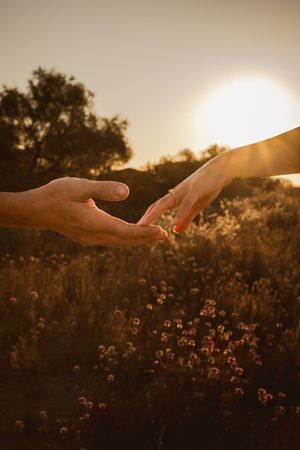 Hands reaching towards each other at sunset with wildflowers in the background.