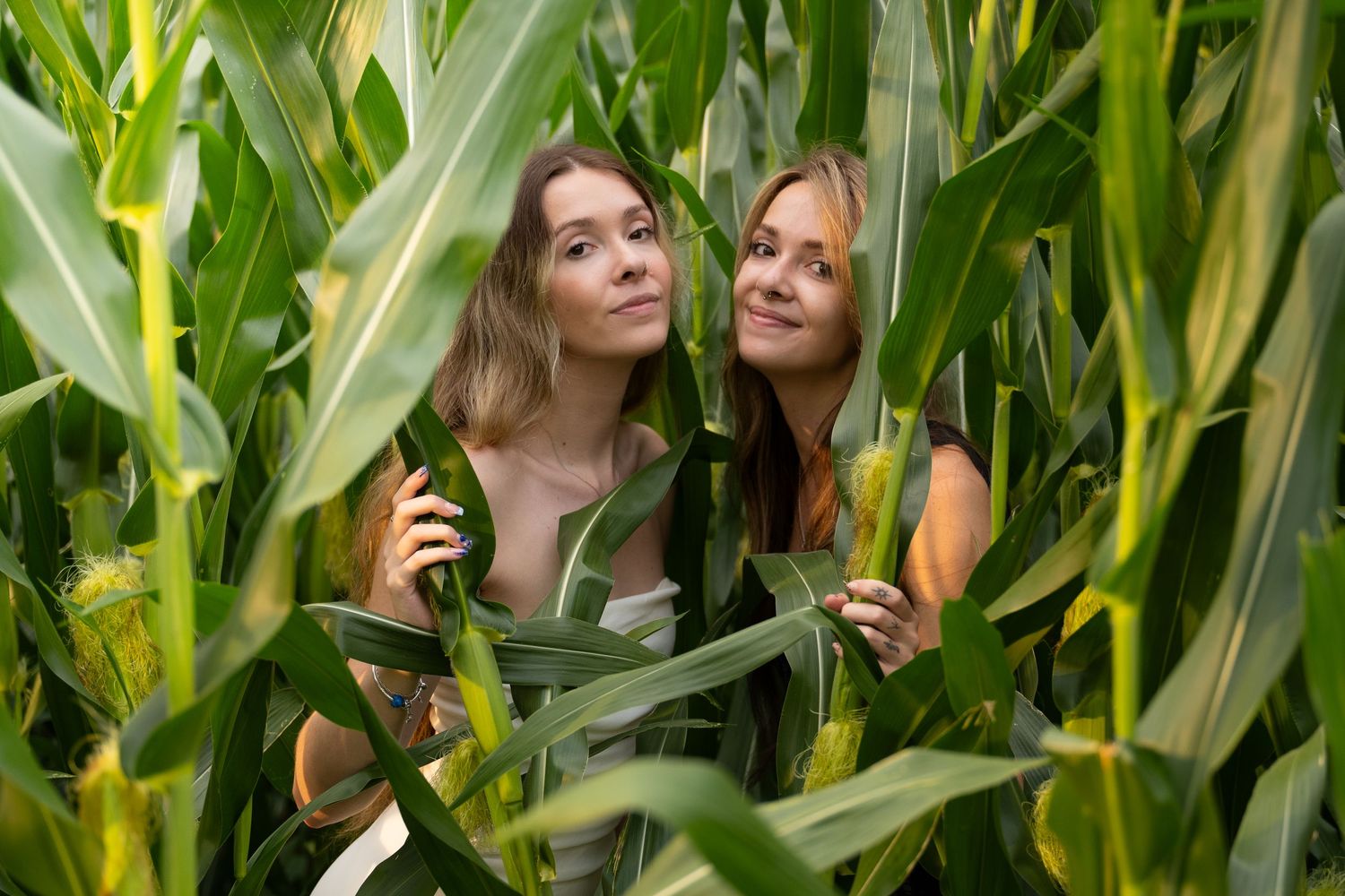 Two sisters peek through tall corn stalks in a lush green field during summer.