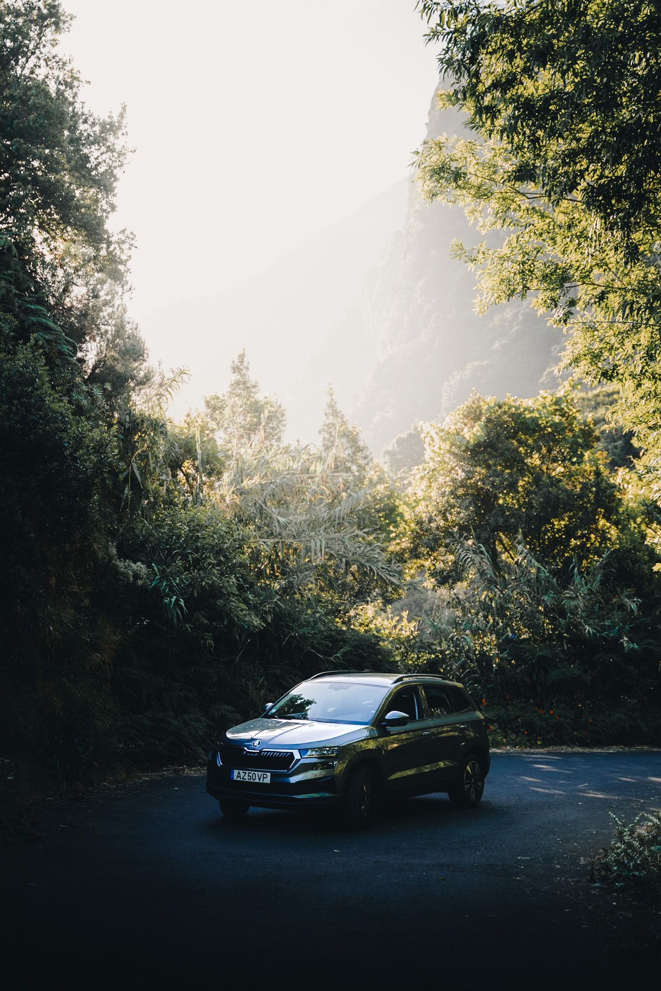 Modern SUV parked on a winding forest road with sunlight filtering through lush green trees in a moody atmosphere.