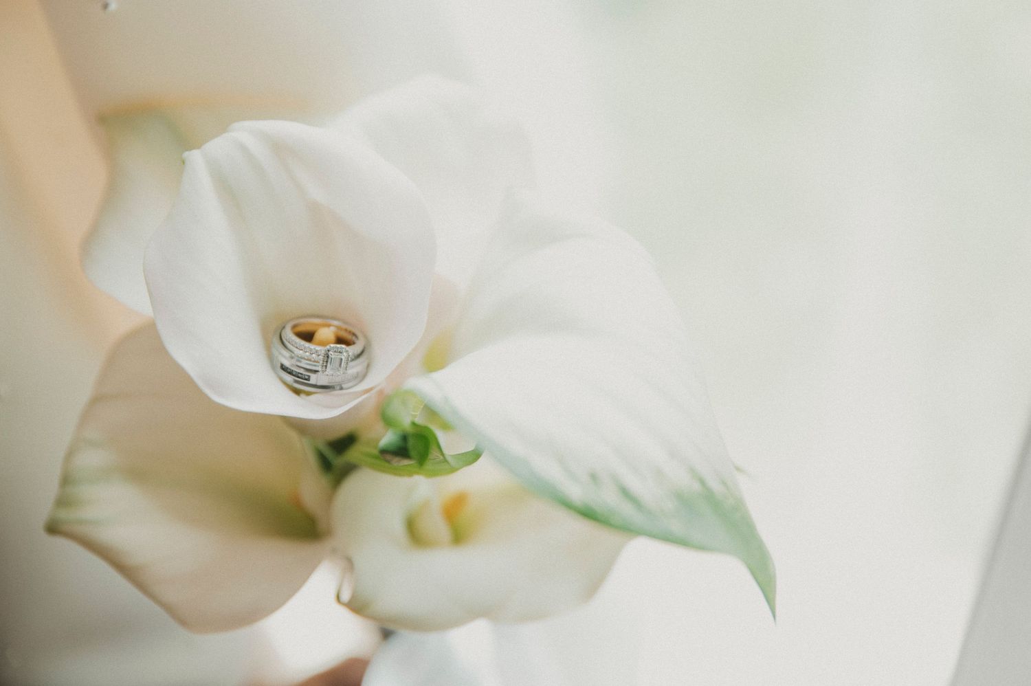 Outdoor spring wedding in Central Kentucky with romantic southern charm