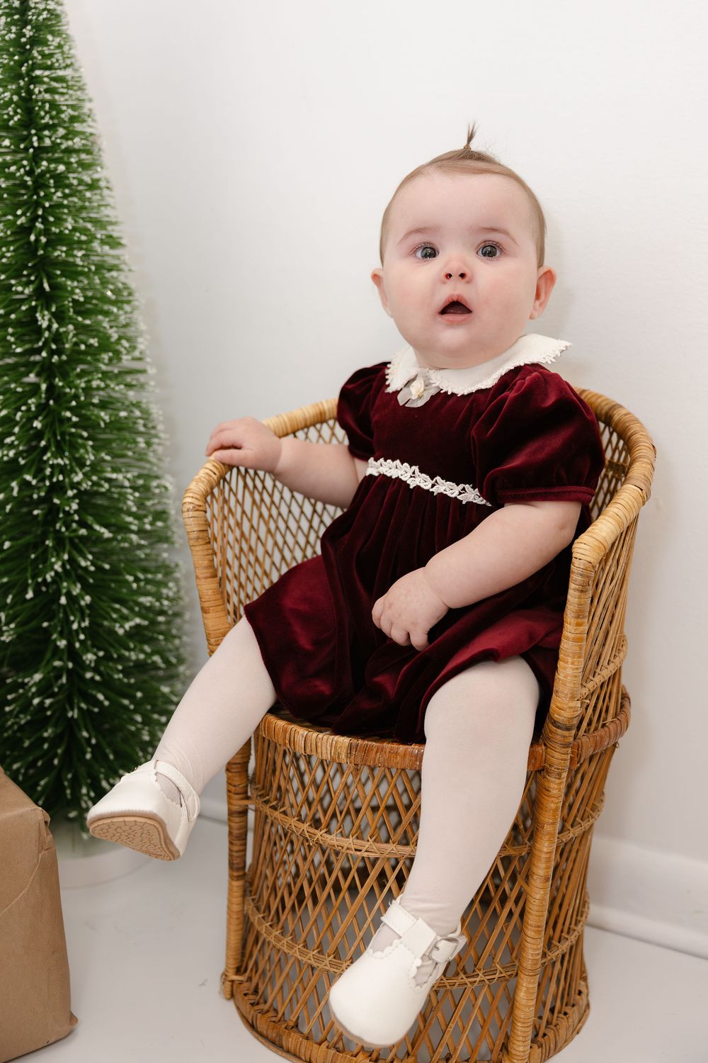 Small baby in burgundy dress sits in vintage wicker chair next to green Christmas tree for holiday photos.