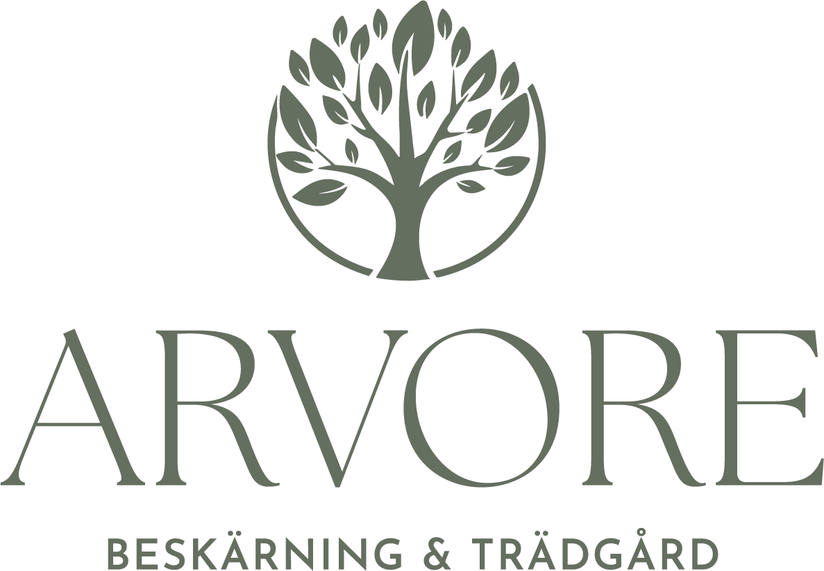 Exempel på grafisk design av Storm Design & Foto
Branding för småföretag – Storm Design & Foto