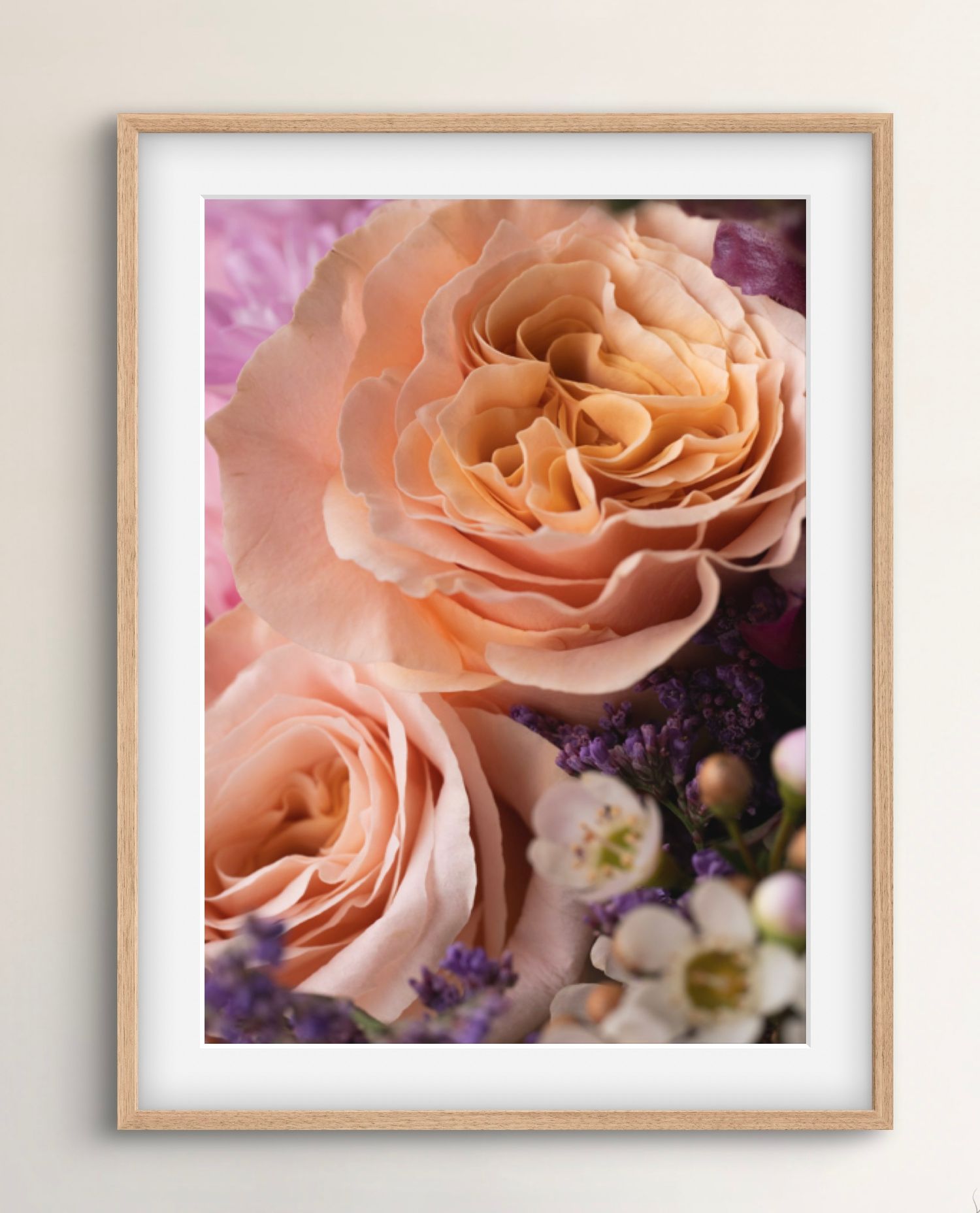 Fine art photographic print of roses and Geraldton Wax in macro detail