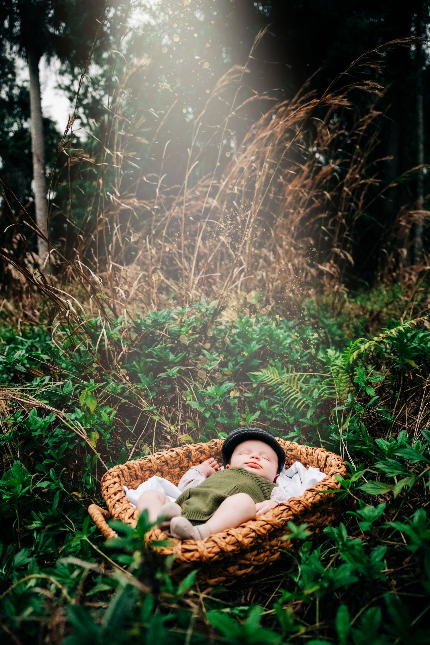 A woven basket nestled in green foliage with tall grass and trees in a dreamy forest setting at riverbend park in Jupiter fl.