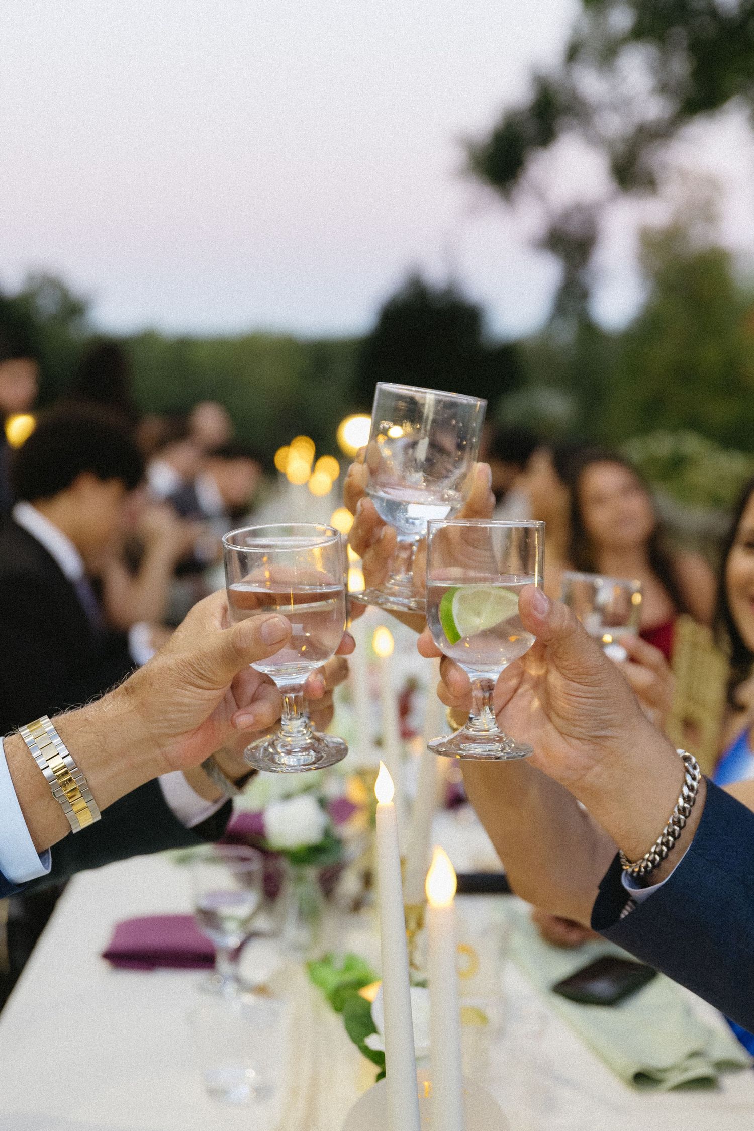 Wedding guests raise glasses in a celebratory toast during an outdoor reception gathering.