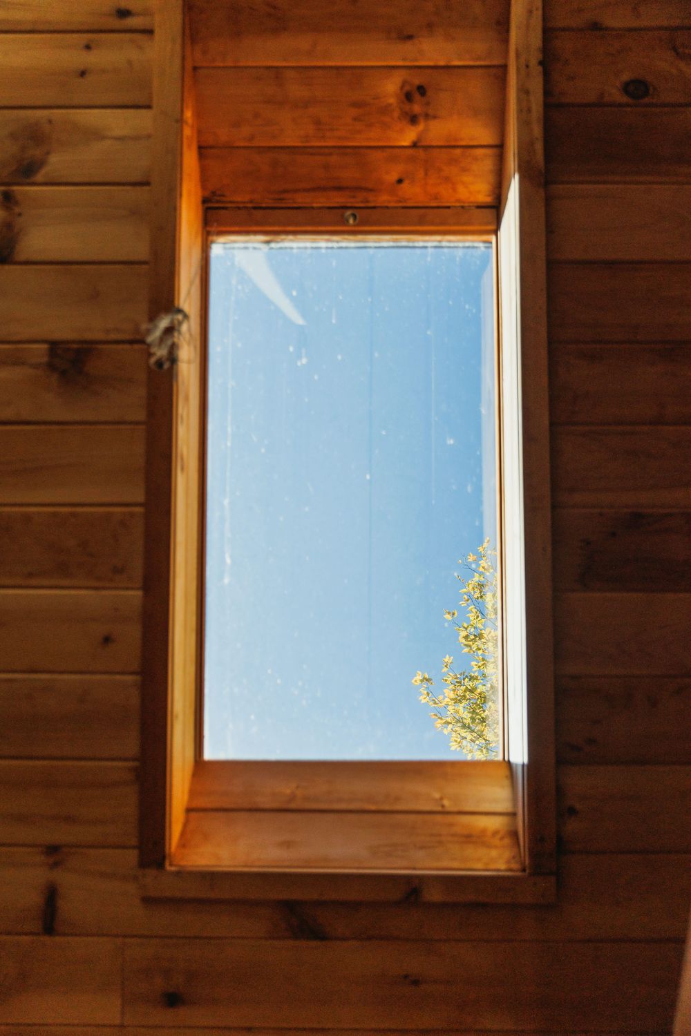 Rustic wooden interior with square window frame showing blue sky and tree branches.