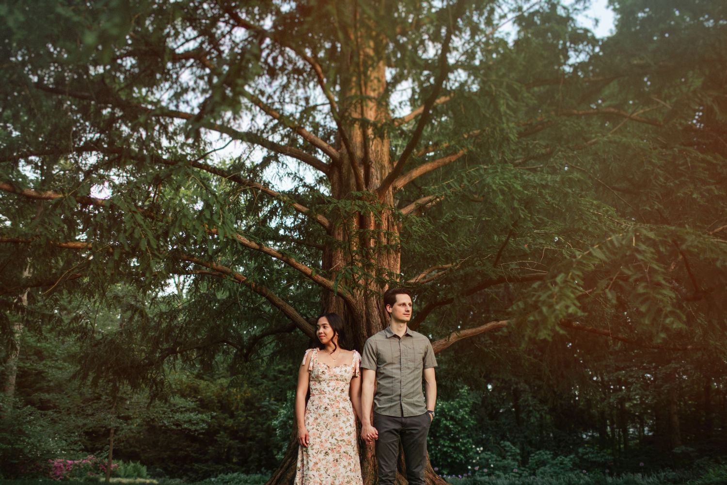 A couple stands in a forest setting during golden hour with sunlight filtering through tall trees.