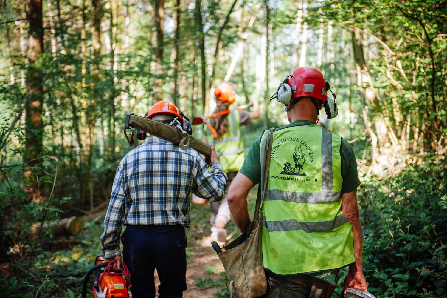 Forest workers in safety gear working among trees and vegetation.